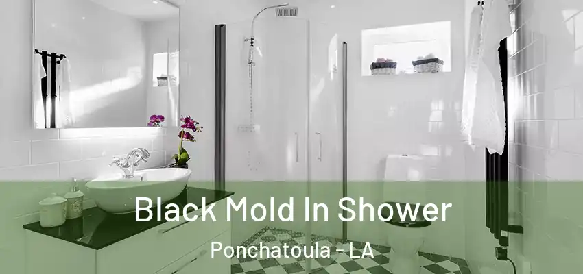  Black Mold In Shower Ponchatoula - LA