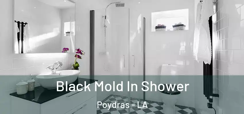  Black Mold In Shower Poydras - LA