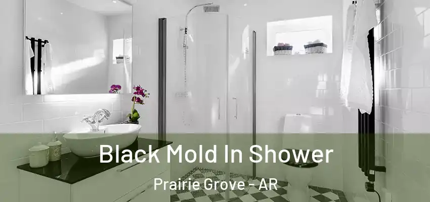  Black Mold In Shower Prairie Grove - AR