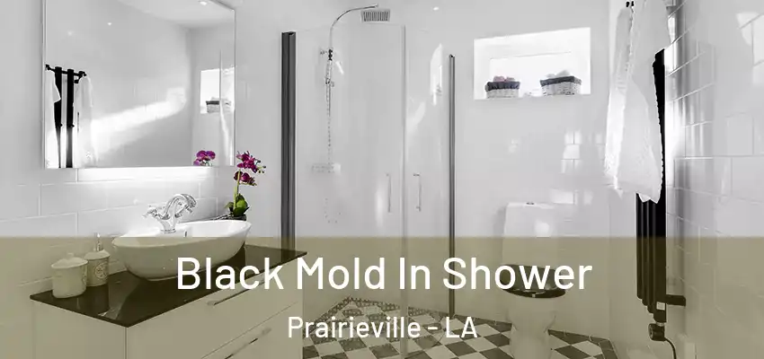  Black Mold In Shower Prairieville - LA