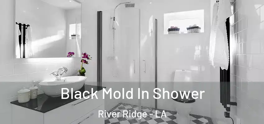 Black Mold In Shower River Ridge - LA