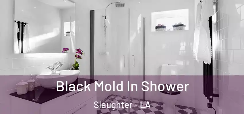  Black Mold In Shower Slaughter - LA