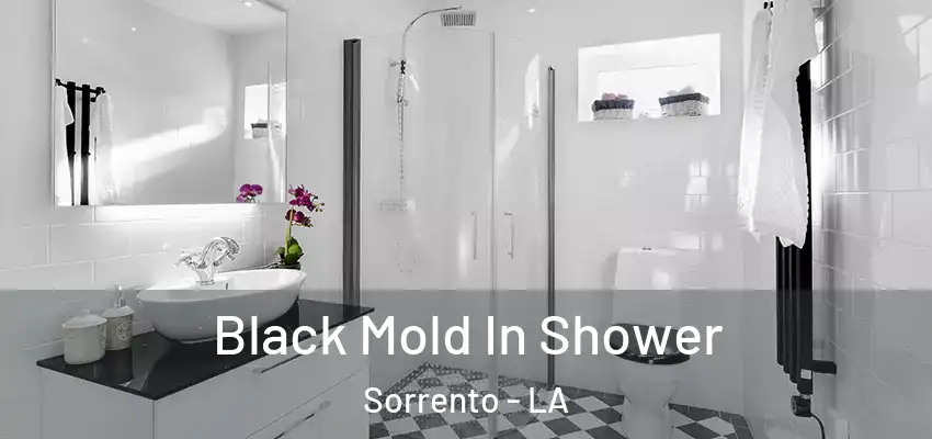  Black Mold In Shower Sorrento - LA