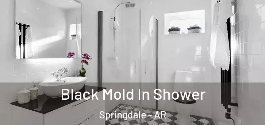  Black Mold In Shower Springdale - AR