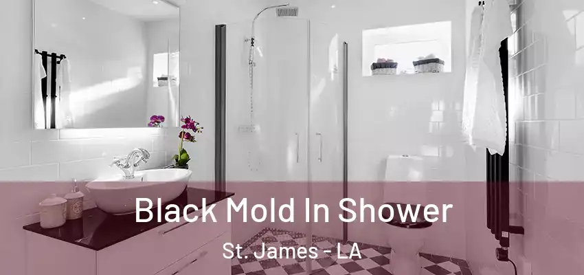  Black Mold In Shower St. James - LA