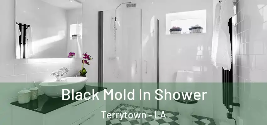  Black Mold In Shower Terrytown - LA
