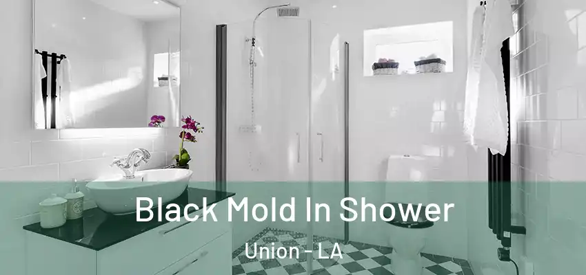  Black Mold In Shower Union - LA