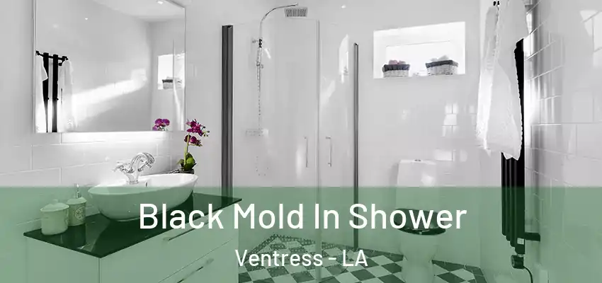  Black Mold In Shower Ventress - LA