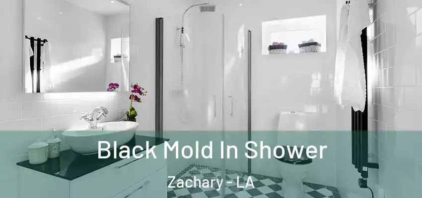  Black Mold In Shower Zachary - LA