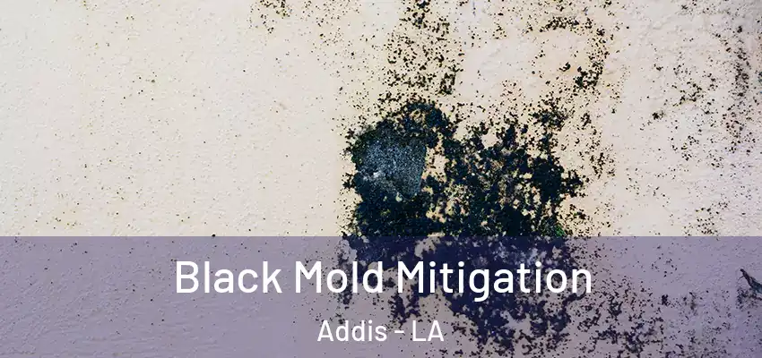  Black Mold Mitigation Addis - LA