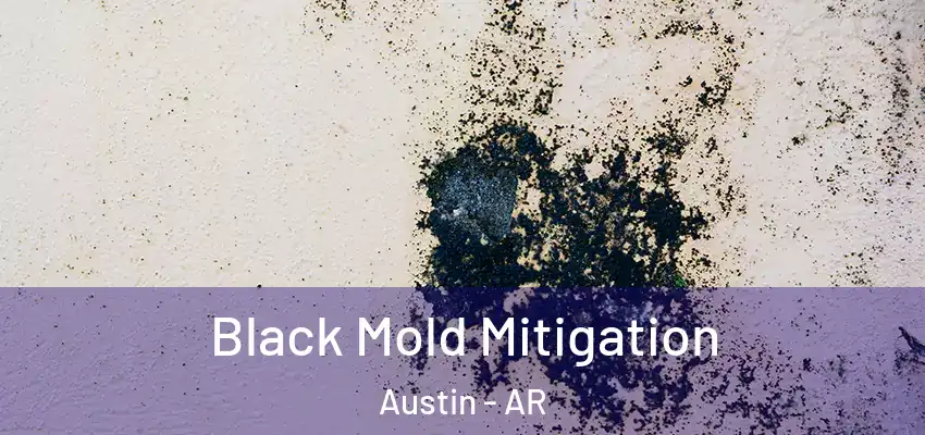  Black Mold Mitigation Austin - AR