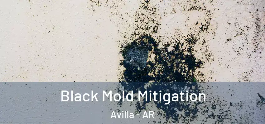 Black Mold Mitigation Avilla - AR