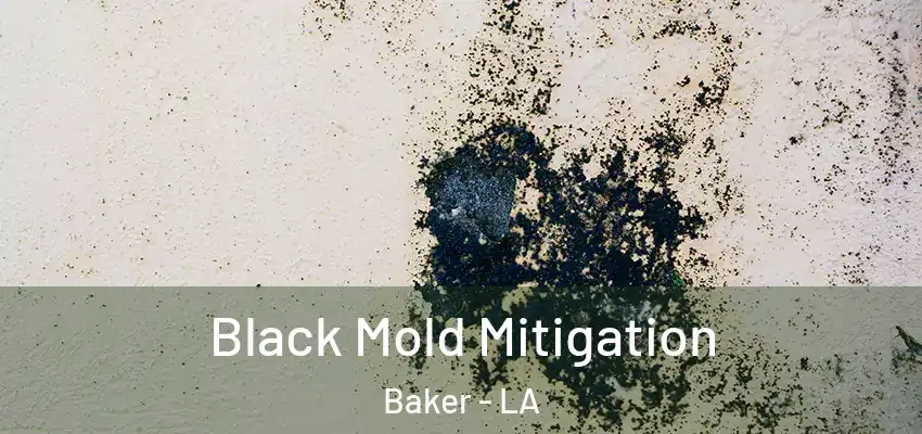  Black Mold Mitigation Baker - LA