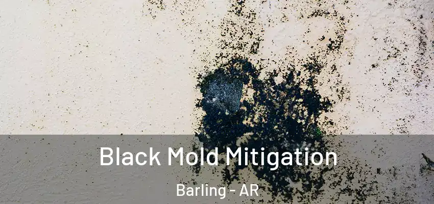  Black Mold Mitigation Barling - AR