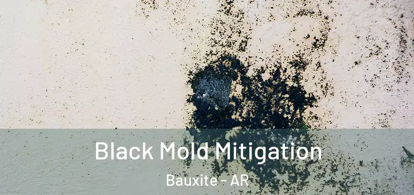 Black Mold Mitigation Bauxite - AR