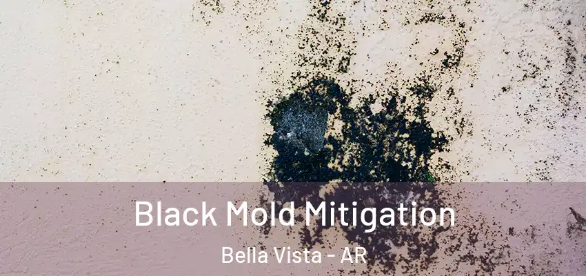  Black Mold Mitigation Bella Vista - AR
