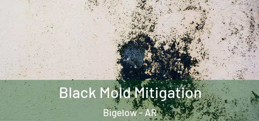  Black Mold Mitigation Bigelow - AR