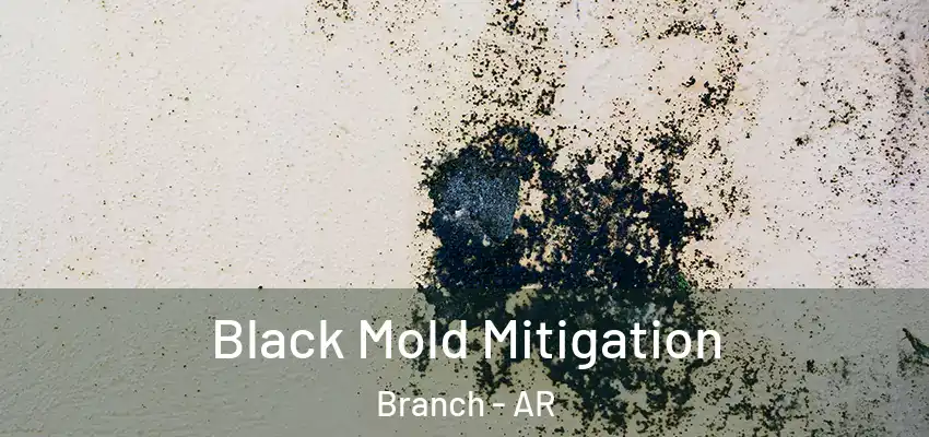  Black Mold Mitigation Branch - AR