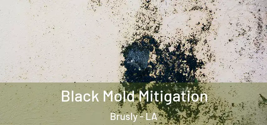 Black Mold Mitigation Brusly - LA