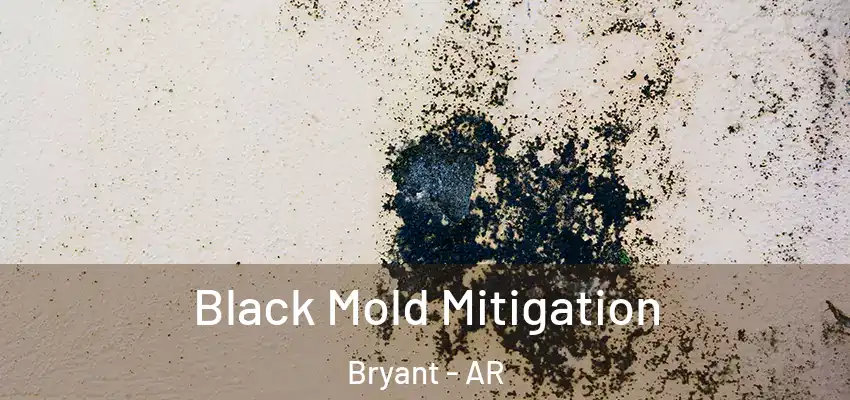  Black Mold Mitigation Bryant - AR