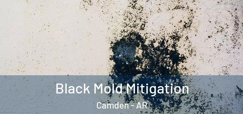  Black Mold Mitigation Camden - AR
