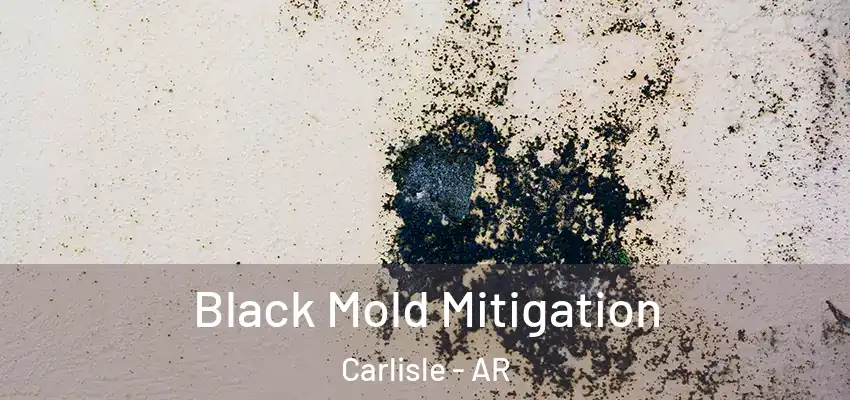  Black Mold Mitigation Carlisle - AR
