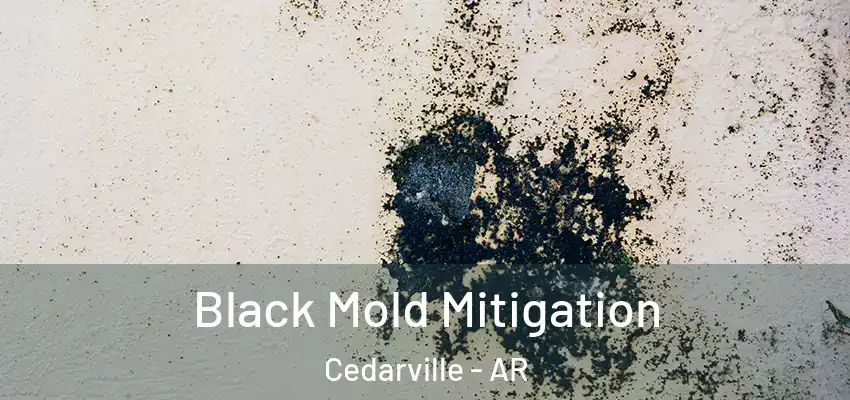 Black Mold Mitigation Cedarville - AR