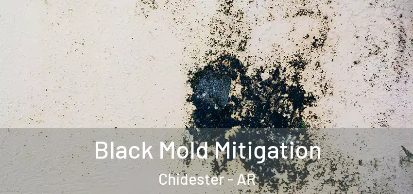  Black Mold Mitigation Chidester - AR