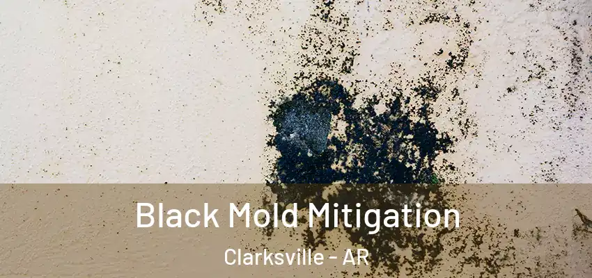  Black Mold Mitigation Clarksville - AR