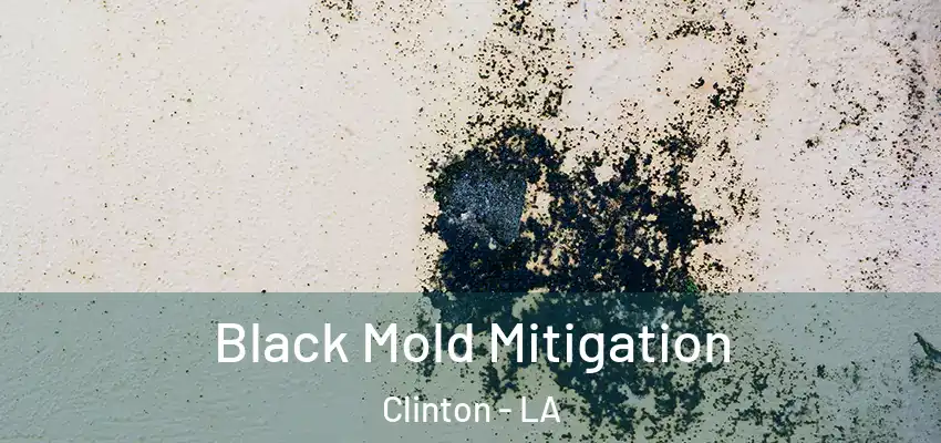 Black Mold Mitigation Clinton - LA