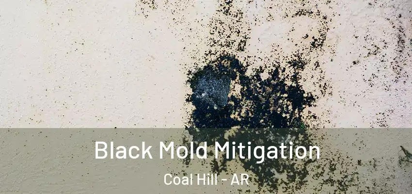  Black Mold Mitigation Coal Hill - AR