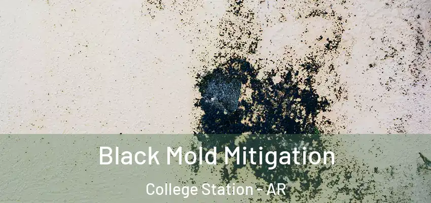  Black Mold Mitigation College Station - AR