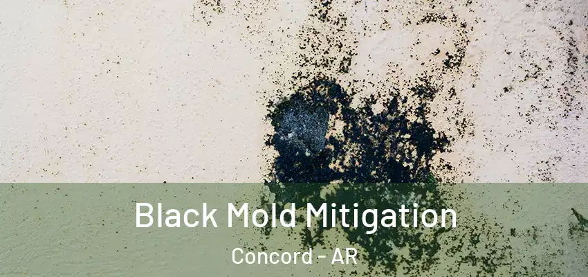  Black Mold Mitigation Concord - AR