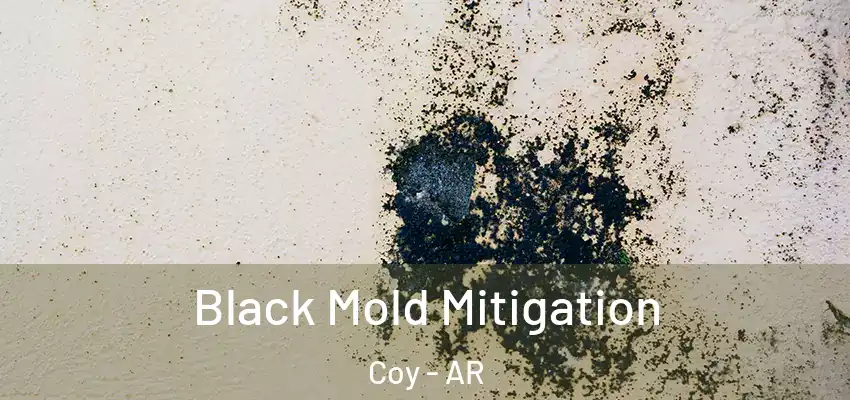  Black Mold Mitigation Coy - AR