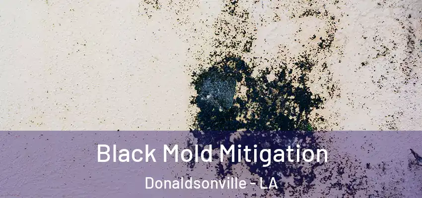  Black Mold Mitigation Donaldsonville - LA