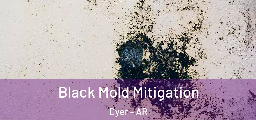  Black Mold Mitigation Dyer - AR