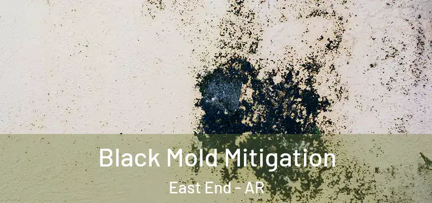  Black Mold Mitigation East End - AR