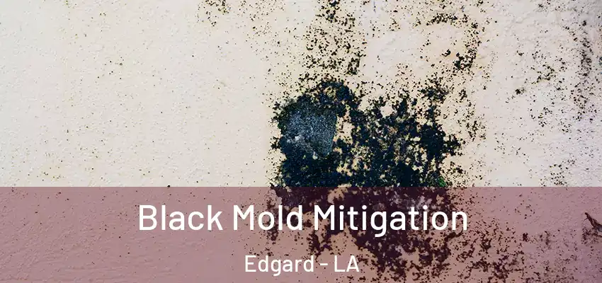  Black Mold Mitigation Edgard - LA