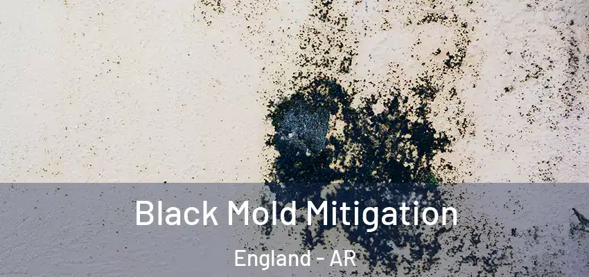  Black Mold Mitigation England - AR