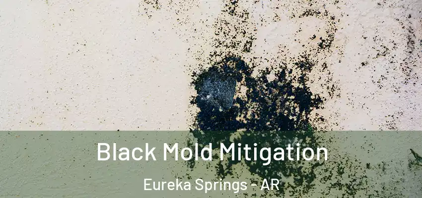 Black Mold Mitigation Eureka Springs - AR