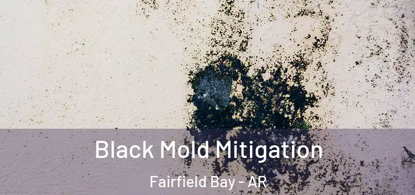  Black Mold Mitigation Fairfield Bay - AR
