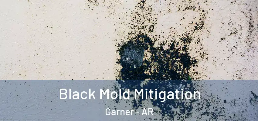  Black Mold Mitigation Garner - AR