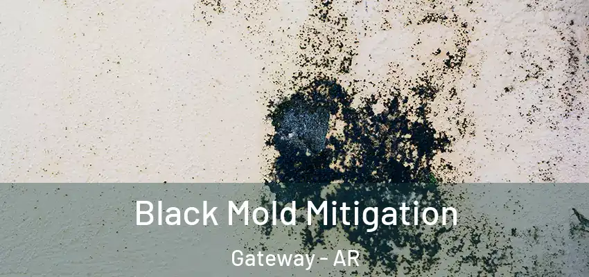 Black Mold Mitigation Gateway - AR
