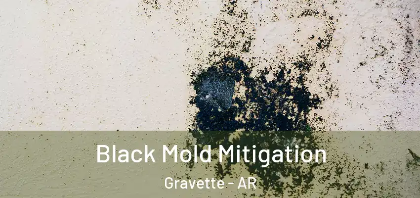 Black Mold Mitigation Gravette - AR
