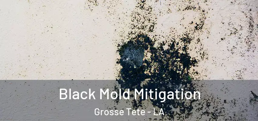  Black Mold Mitigation Grosse Tete - LA
