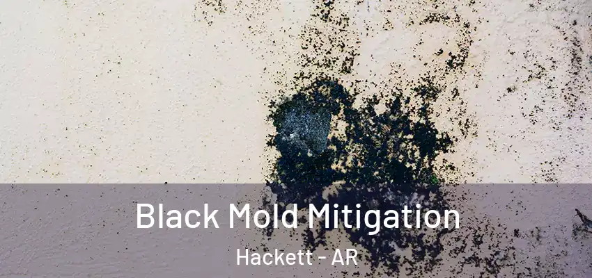 Black Mold Mitigation Hackett - AR