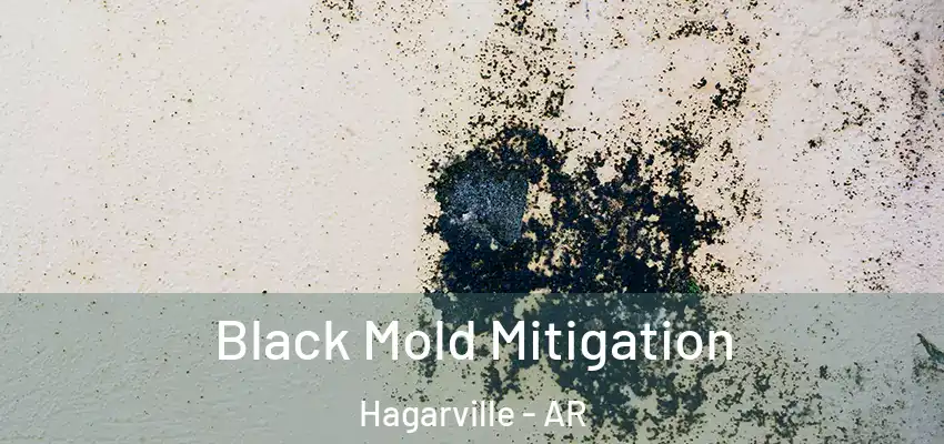  Black Mold Mitigation Hagarville - AR