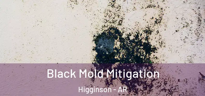  Black Mold Mitigation Higginson - AR