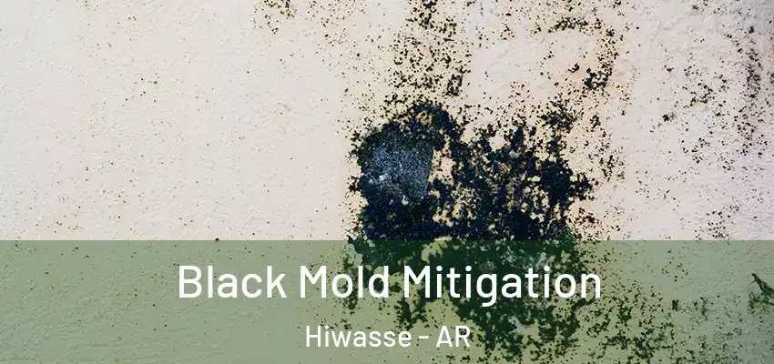 Black Mold Mitigation Hiwasse - AR
