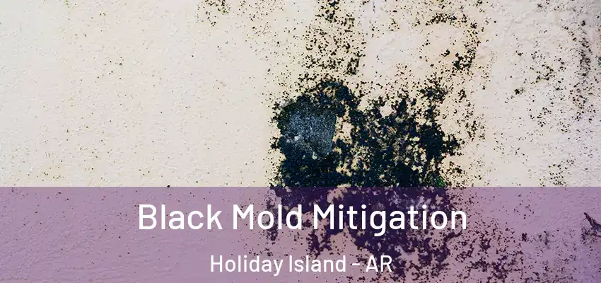 Black Mold Mitigation Holiday Island - AR